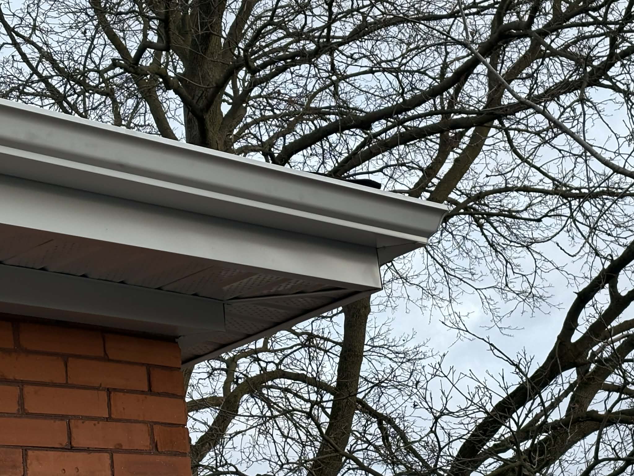 Featured project photo 1